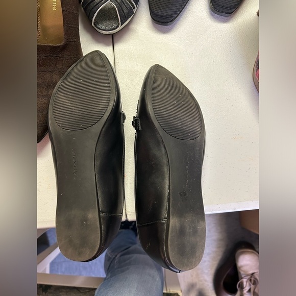 Tahari - Picture 6 of 6